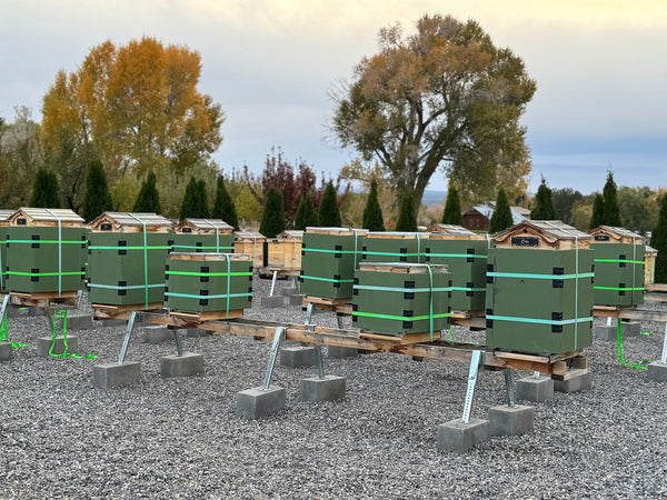 Insulated Hive Wraps