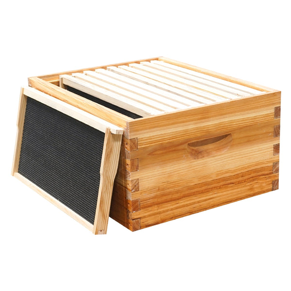 Assembled Box with Frames
