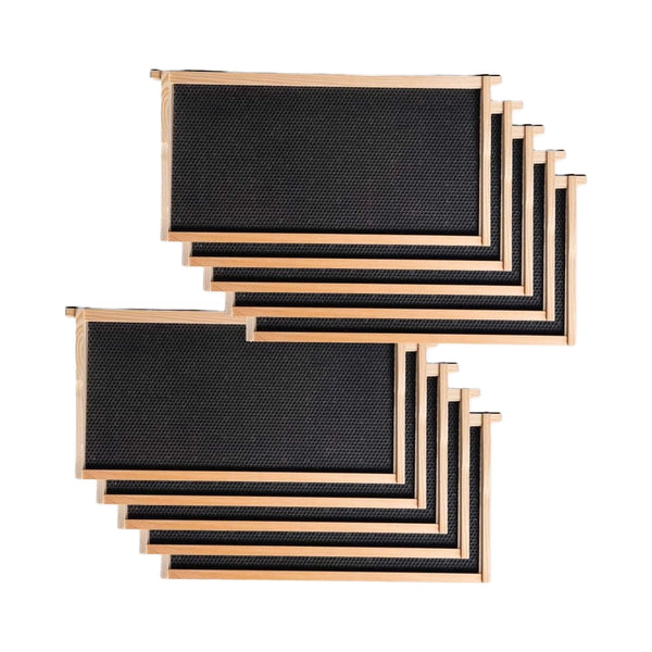 Assembled Frames with Heavy Waxed Foundation