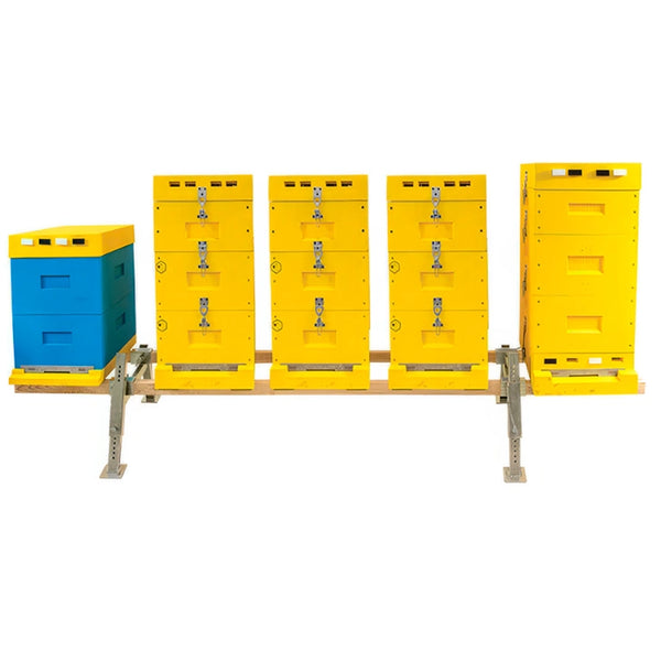 Steel Hive Stands